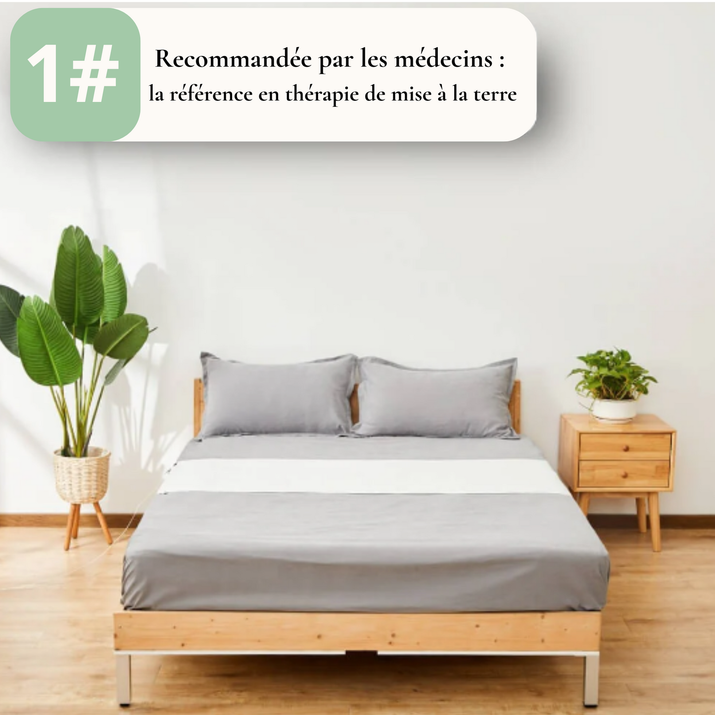 NovaTerra - Drap de mise à la terre