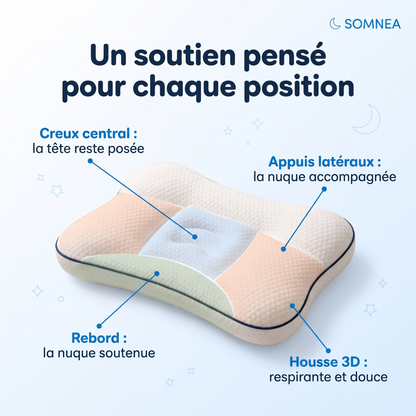 Les zones de soutien de l'oreiller SOMNEA